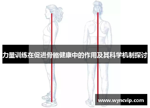 力量训练在促进骨骼健康中的作用及其科学机制探讨